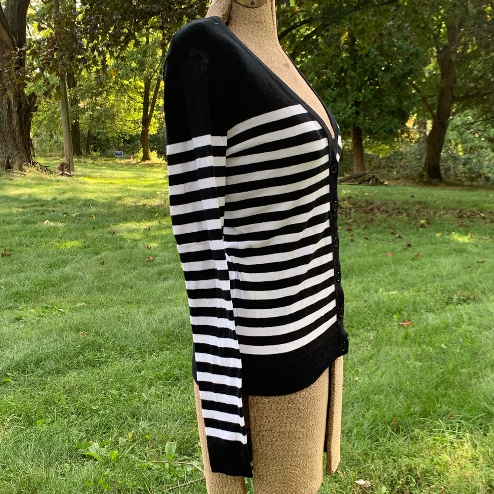 Merona Black&White Striped Sweater